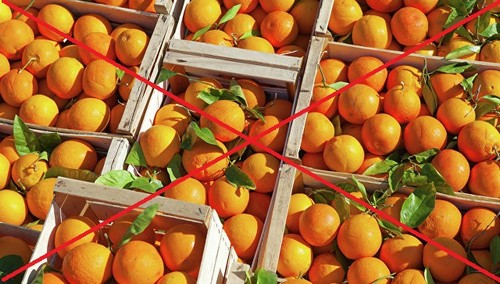 что нужно исключить