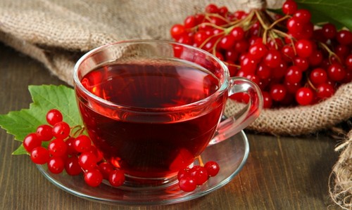 настой из красной калины