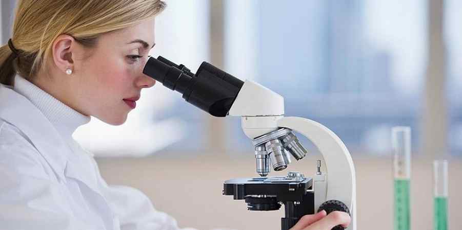 исследование на гормоны