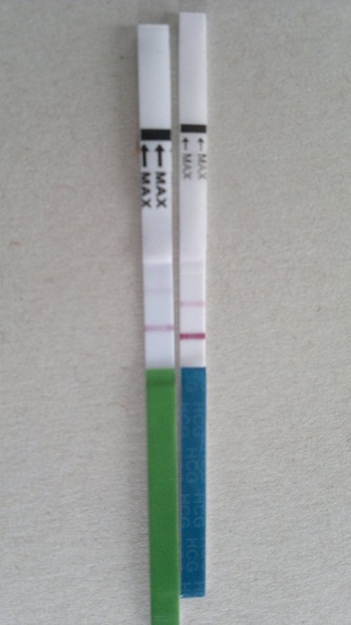 стрип полоска