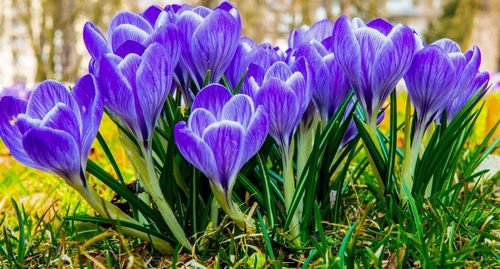 обновление