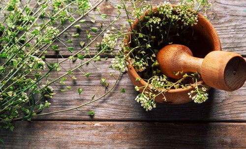 пастушья сумка